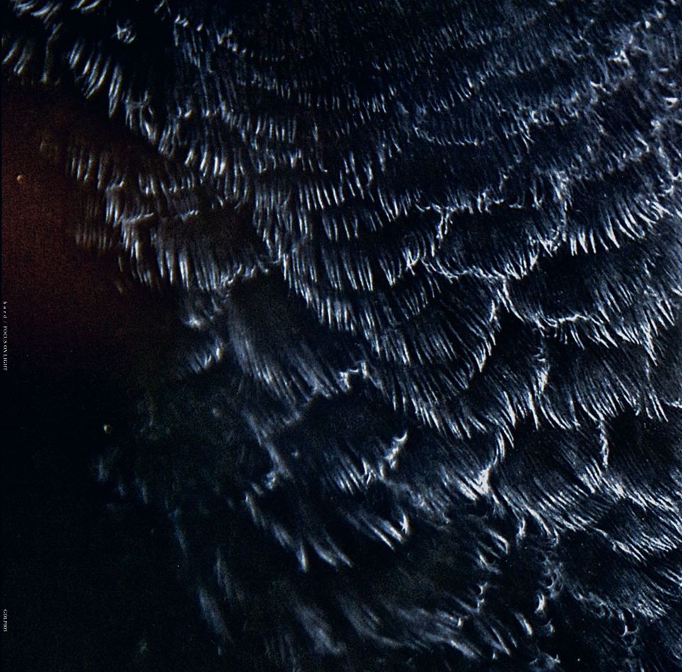 12508879_659933920813068_8617773010079498323_n