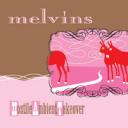 melvins_hostileambienttakeover.jpg