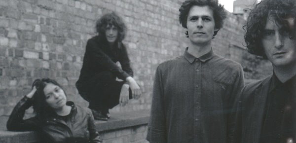 fayv_newslettercrop_1