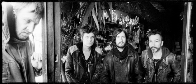 Oiseaux-Tempête-Photo