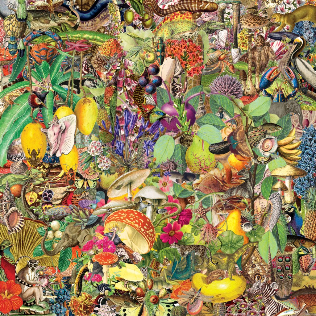 pneu-destination-qualite-1440x1440