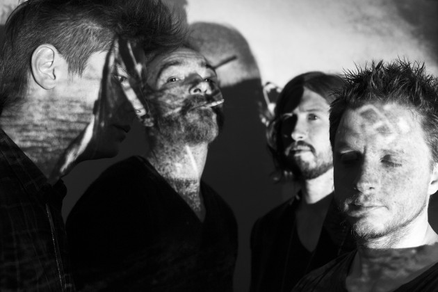 02 OISEAUX-TEMPETE 2015 photo Pamela Maddaleno